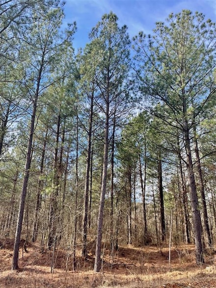 742 Timber Creek Trails South Xl, Broken Bow, OK 74728