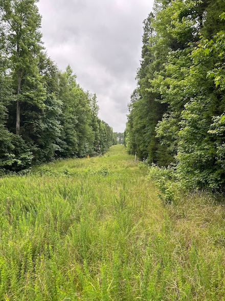 0 Herbert Rd, Carlisle, SC 29031