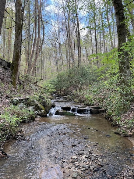 0000 Shady Grove Rd, Ellijay, GA 30175