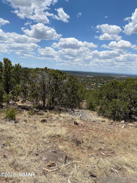 Lot 384 Show Low Pines Unit 10, Concho, AZ 85924