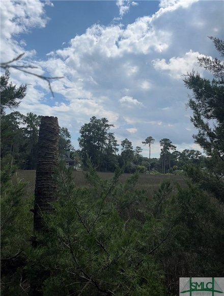 000000 Perry Cove, Whitemarsh Island, GA 31410