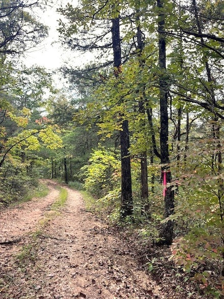 NC 2922 Heartsong Ln, Marble Falls, AR 72601