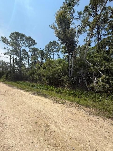 Lot 3 5th Ave N, Steinhatchee, FL 32359
