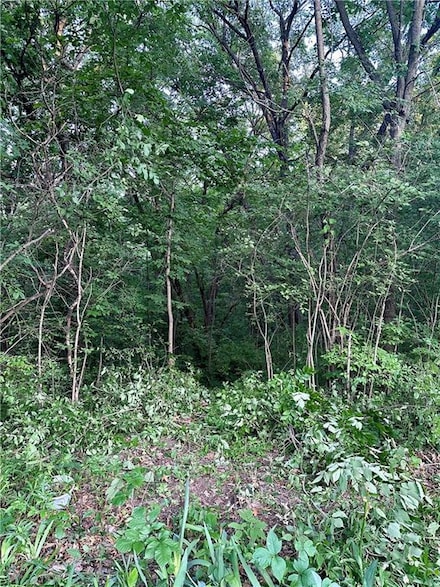 Lot 14 Forest Ln, van Meter, IA 50261