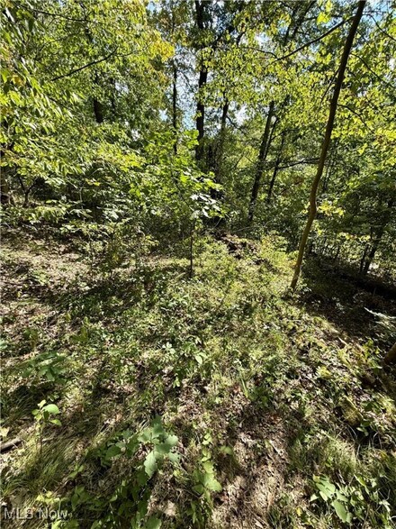 0 Poker Rd SE, Perry Township, OH 43988