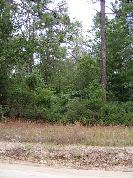 412 Sells Ct, Pelion, SC 29123