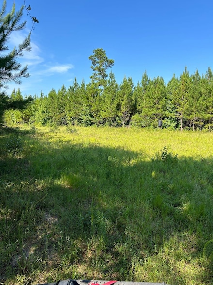 1300 County Road 3, Georgiana, AL 36033