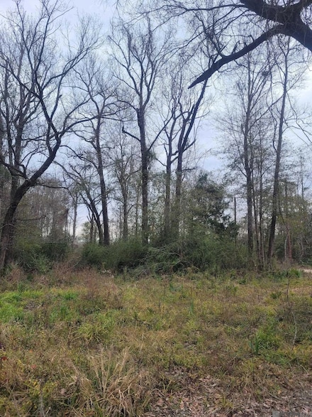 10801 Hidden Cypress Ct, Central, LA 70714