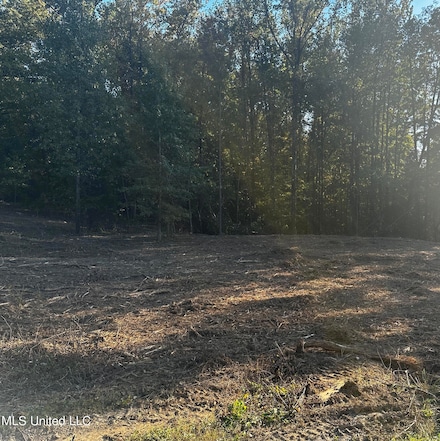 Lot 15 Michael Dr, Walls, MS 38641