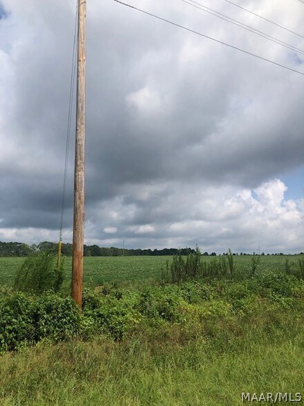 vacant County Road 711, Enterprise, AL 36330