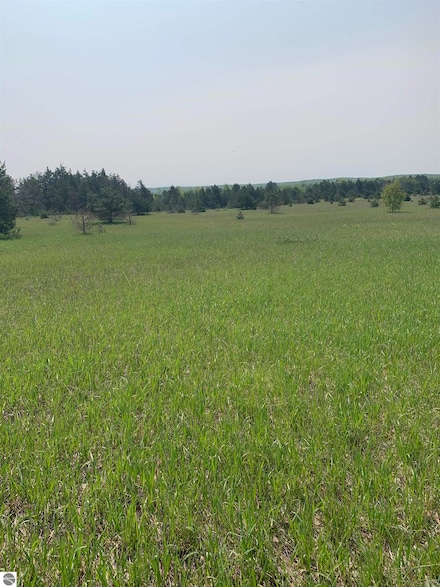 Parcel 4 Off Doerr Rd, Mancelona, MI 49659