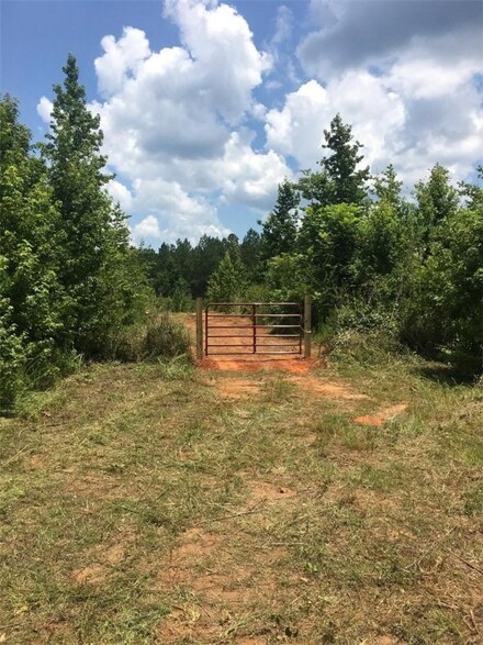 none Lee Road 76, Waverly, AL 36879