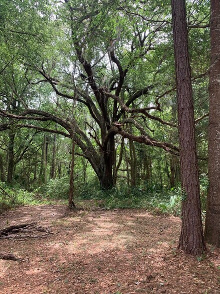 TBD S Hendry Ave, Perry, FL 32347