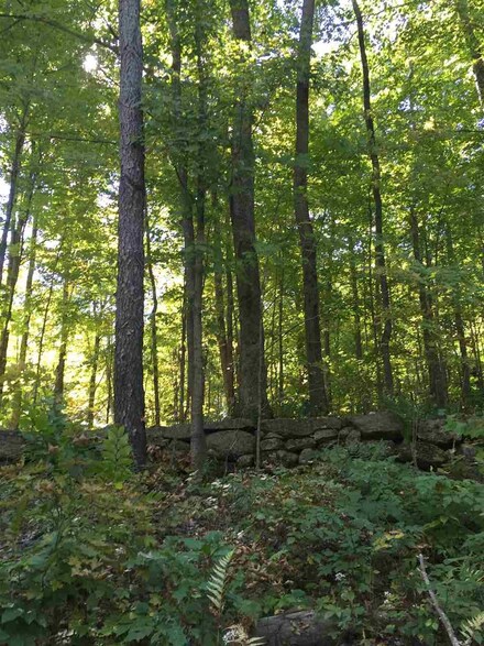0 Hinsdale Unit 3 4600601, Winchester, NH 03470