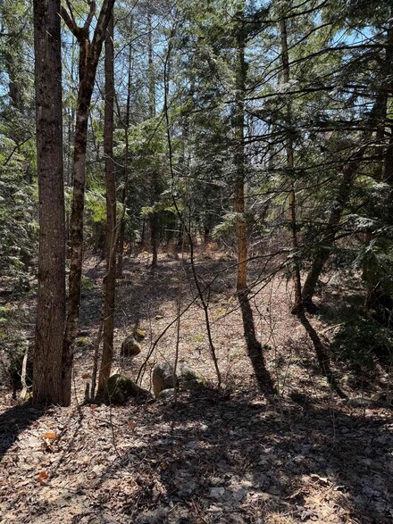 0 Banjo Dr Unit Lot 17 4992445, Thornton, NH 03285
