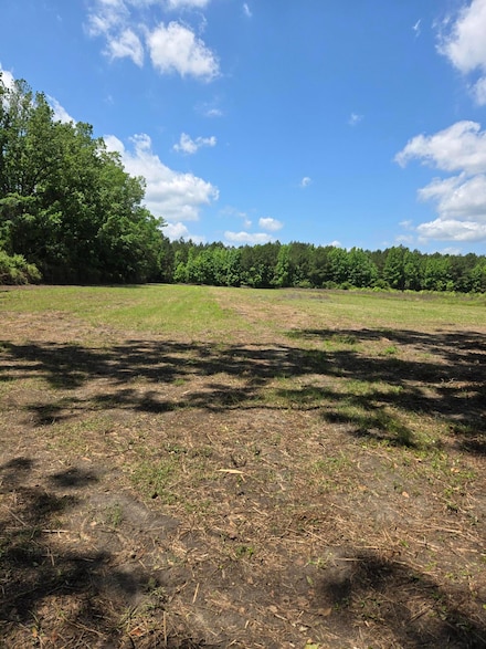 00 Flatwoods Rd, Reevesville, SC 29471