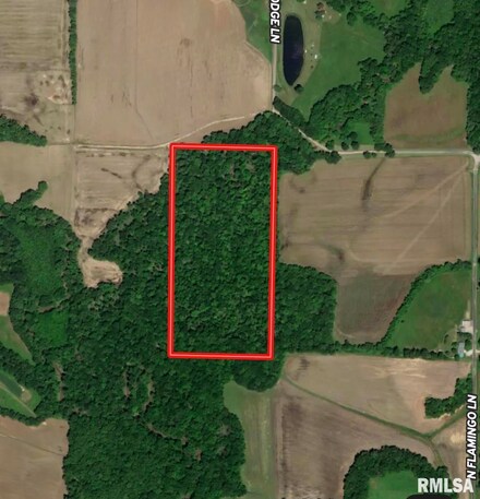 000 E Flagg Rd, Scheller, IL 62883
