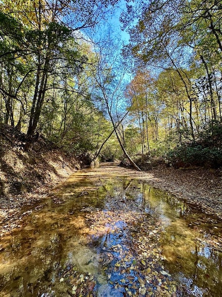 0 0 Frost Marlow Rd, Eufaula, AL 36027