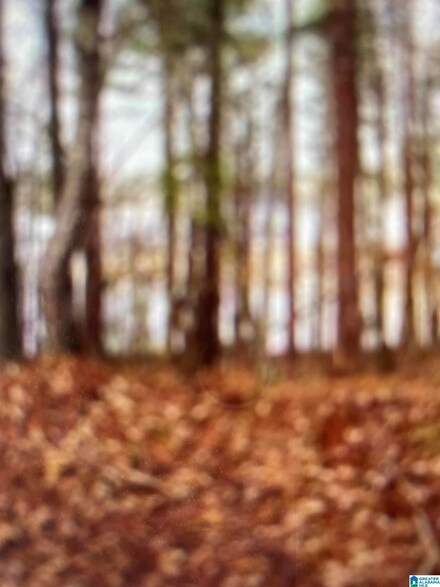 Lot 3 Cedar Cove Unit Lot 3, Talladega, AL 35014