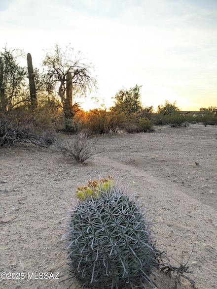 12417 W Nolen Rd, Picture Rocks, AZ 85743