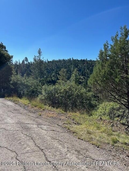 113 & 115 Westbury Dr, Ruidoso, NM 88345