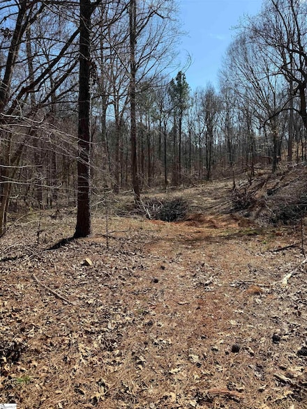 00 Terry Dr, Monarch Mill, SC 29379