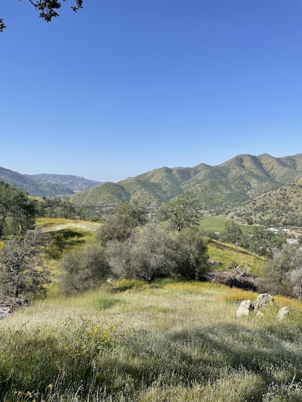 0 E Mynatt Dr Unit 226339, Three Rivers, CA 93271