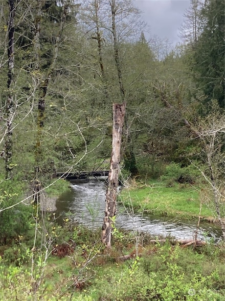 0 E of Bingham Creek Unit NWM2329075, Elma, WA 98541