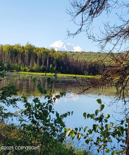 Tr  F1 N No Rd, Talkeetna, AK 99676