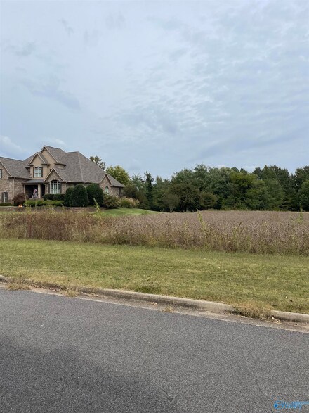 13555 Hatchie Ln, Athens, AL 35611