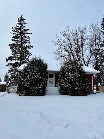 113 3rd Ave NW, Baudette, MN 56623