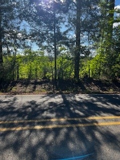 0 Fire Tower Rd, Plain Dealing, LA 71064