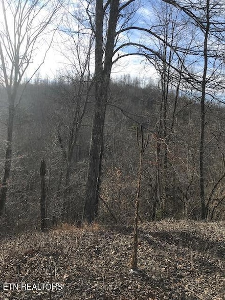 019 007.01 E, Sunbright, TN 37872