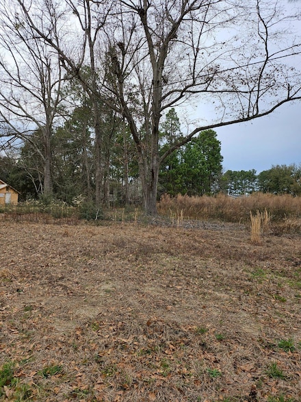 Lt-1 Blk-E Willie & Sarah St, Williston, SC 29853