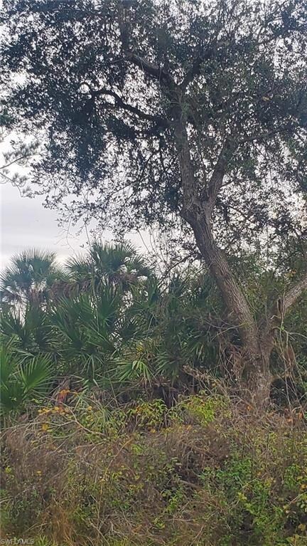 315 Ivanhoe Ave, Labelle, FL 33935