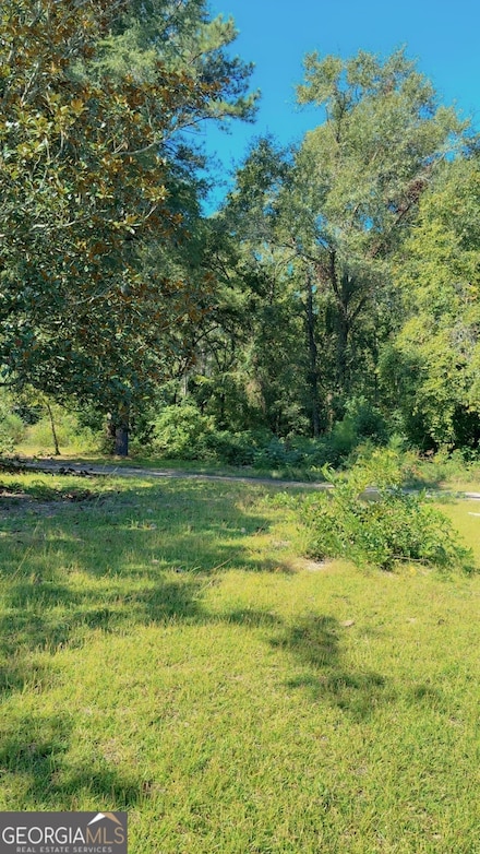 717 Lawton Rd, Sylvania, GA 30467