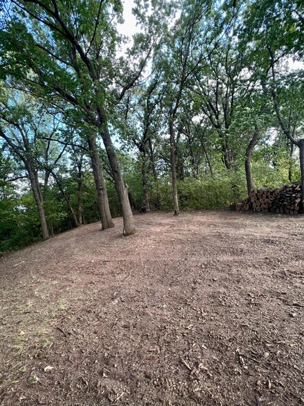 Lot 8 316th St, Le Sueur, MN 56058