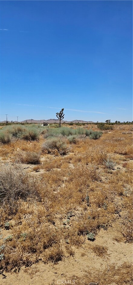 0 E Longhorn Unit SR22218839, Mojave, CA 93501