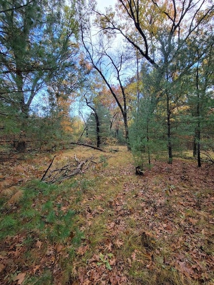 L55 19th Creek, Strongs Prairie, WI 54613