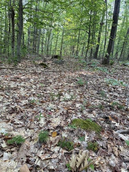 354 Dickinson Hill Rd, Bolton, NY 12824