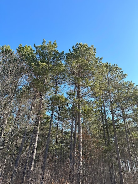 ON Spring Creek Dr Unit 4080-5, Tomahawk, WI 54487