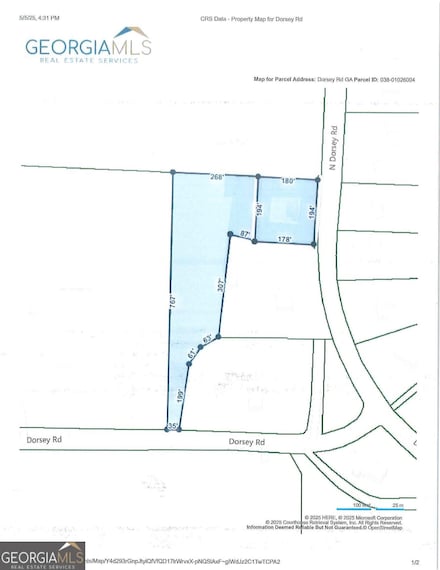 308 N Dorsey Rd, Hampton, GA 30228