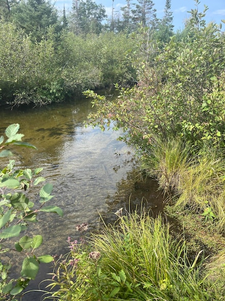 14215 Airport Rd, Atlanta, MI 49709