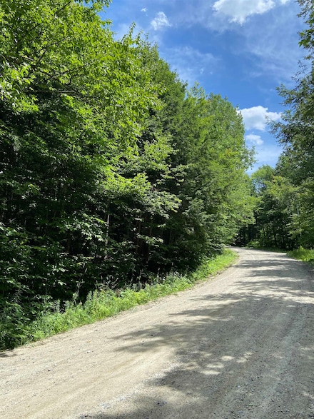 00 Norrie Davies Rd, Cavendish, VT 05142