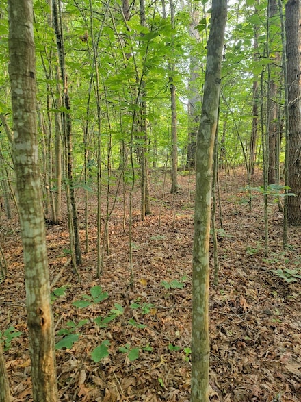 4-Lot Lewis Ford Rd, Brookneal, VA 24528