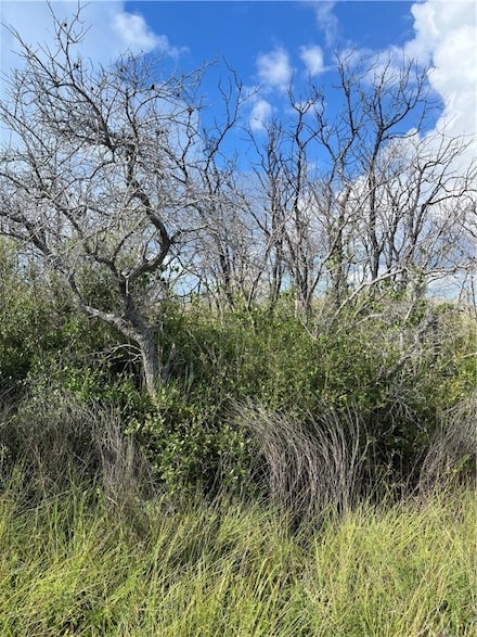 0 N 9th St, Aransas Pass, TX 78336