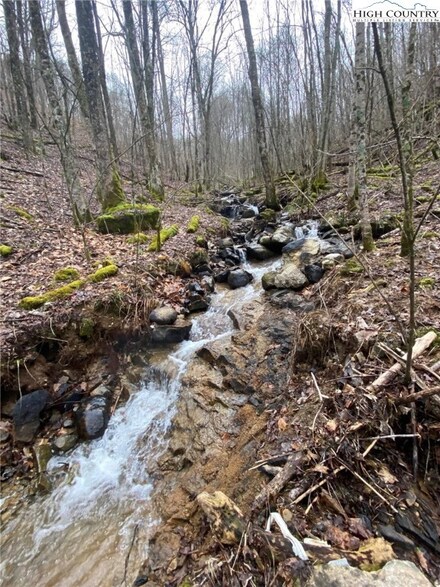0 Elk Park Hwy, Elk Park, NC 28622