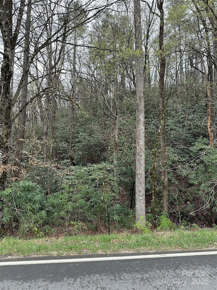 Off Cannon Rd, Marion, NC 28752