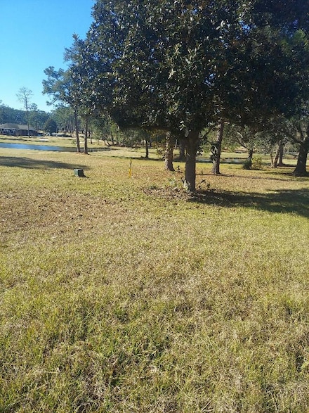 1725 Tract 2 Hwy 84w, Cairo, GA 39828