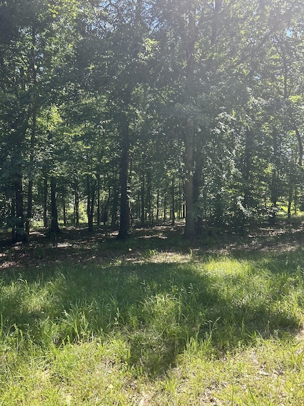 27 Sportsman Cove, Huntingdon, TN 38344